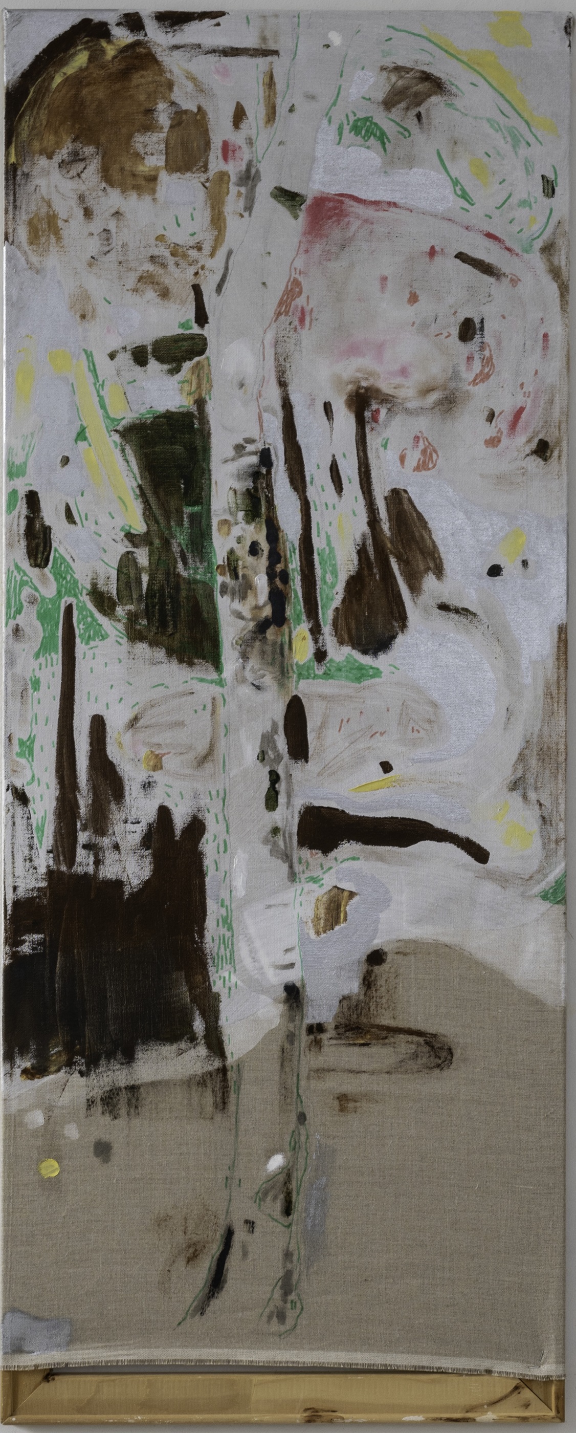 Betula 2