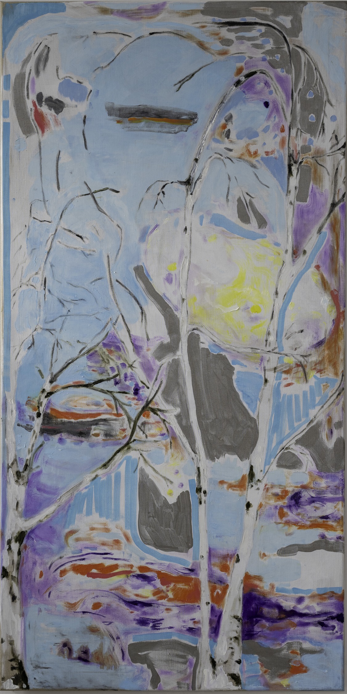 Betula 4